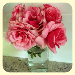 Beautiful pink roses that were kindly given to me.